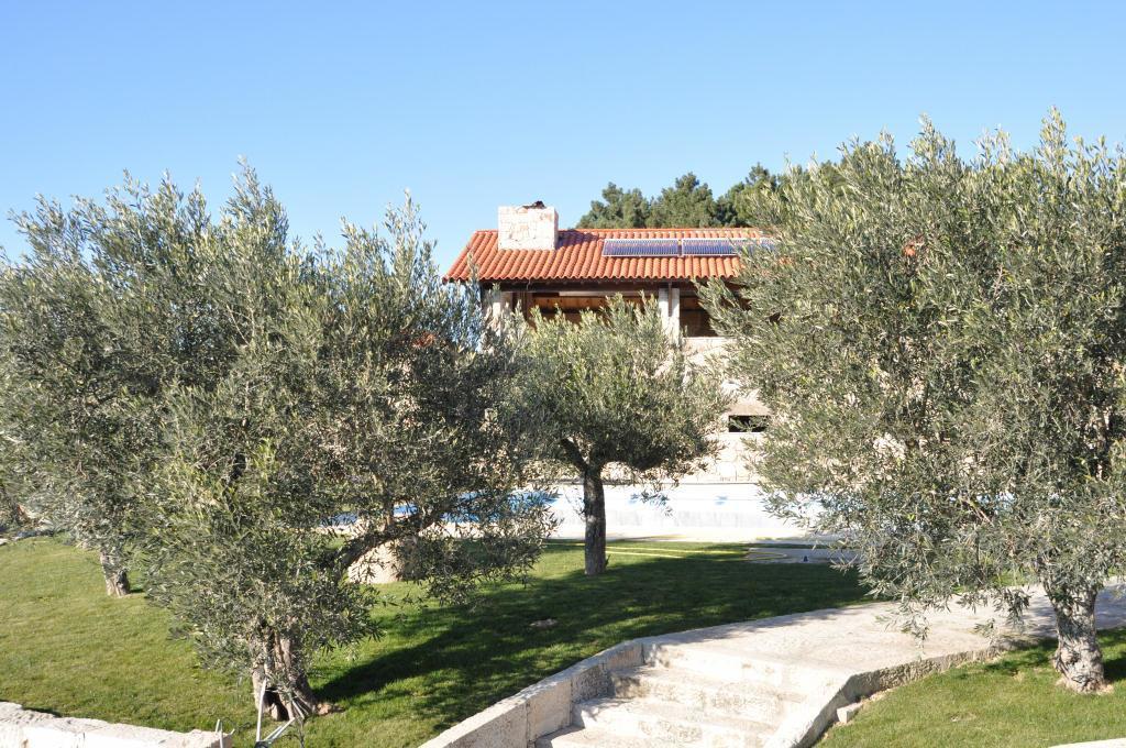 Quinta Do Olival Pension Vilas Boas  Buitenkant foto